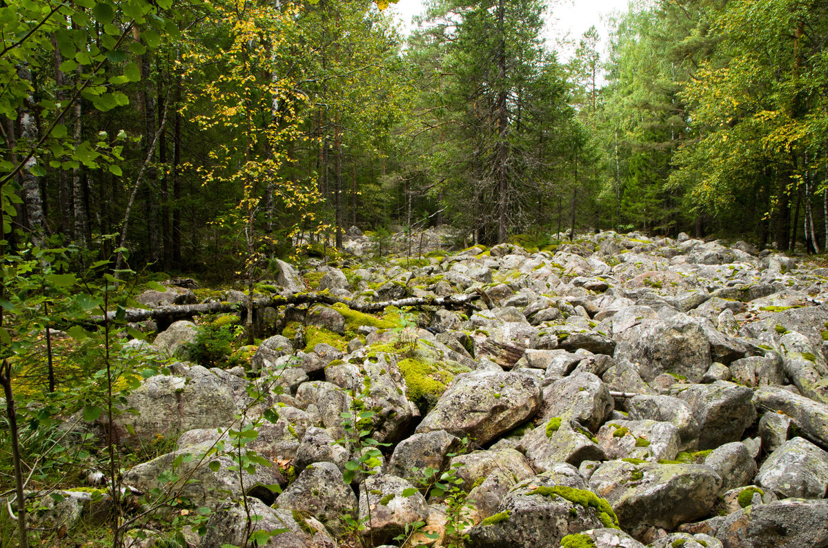 Горная каменная река