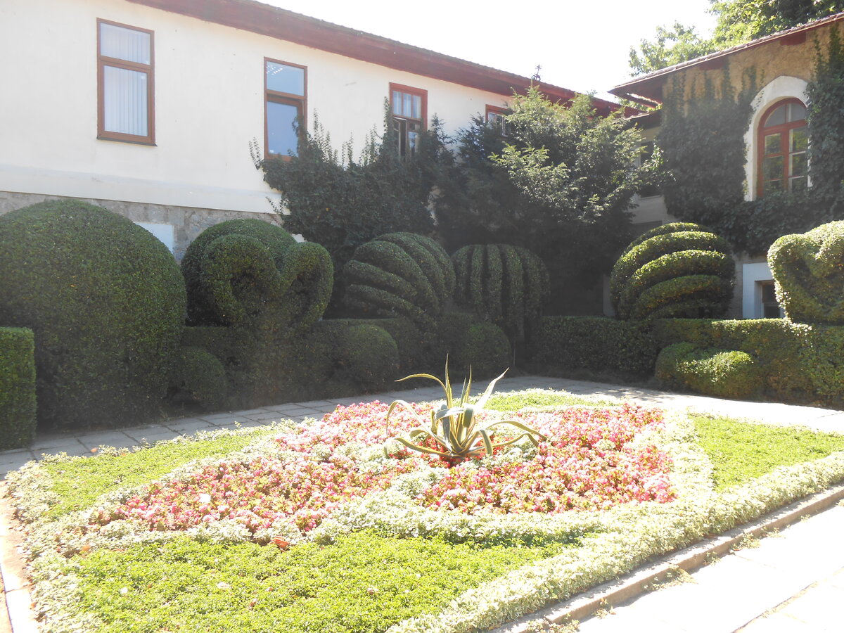 В первую очередь по приезду в Крым в 2015 году, мы отправились в Никитинский ботанический сад. В самом начале около входа расположена площадка с прозрачной водой в бассейне, красиво и оригинально подстриженными  кустами и клумбами. Кажется, как будто ты попал в припасающее ухоженное место.