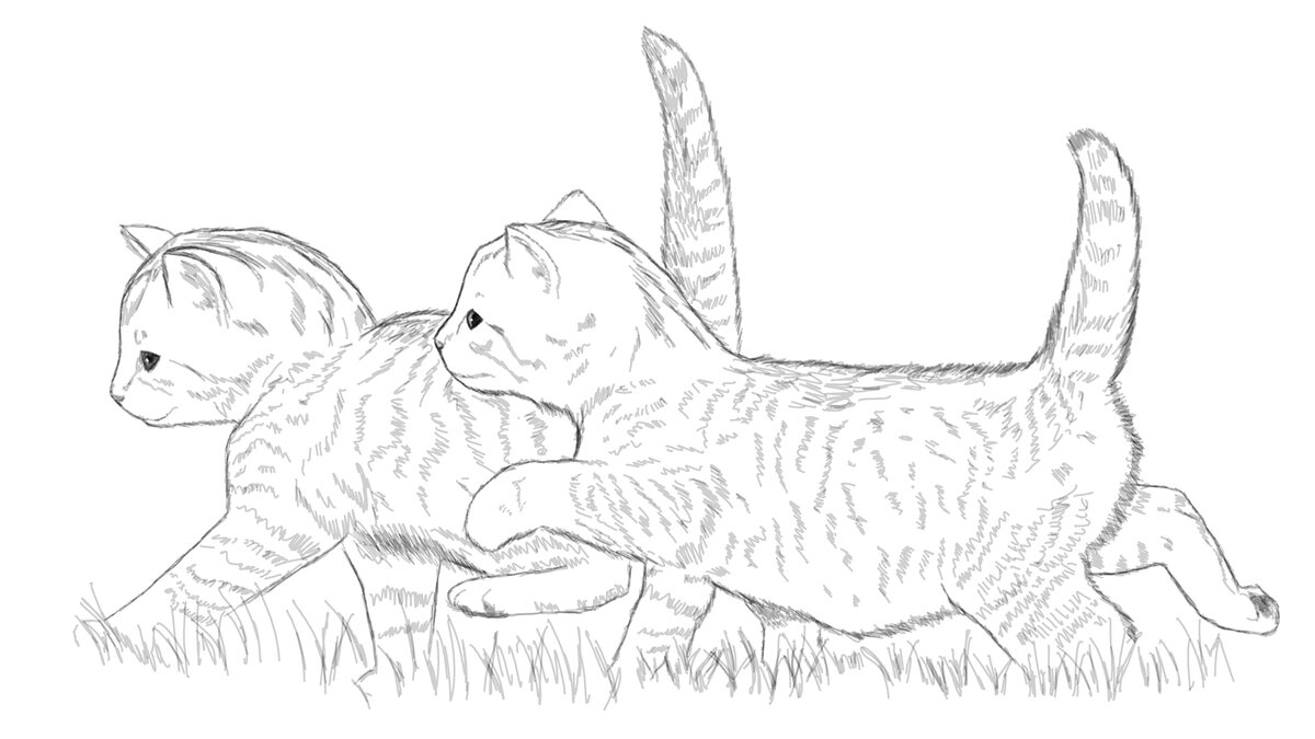 Зямы в детстве. Фантазия, порожденная моей грустью по так и не состоявшемуся лету и уходящим теплым денькам (нет, я прекрасно помню, что Замы зимние котята. Но просто хочется побольше солнышка и травки).