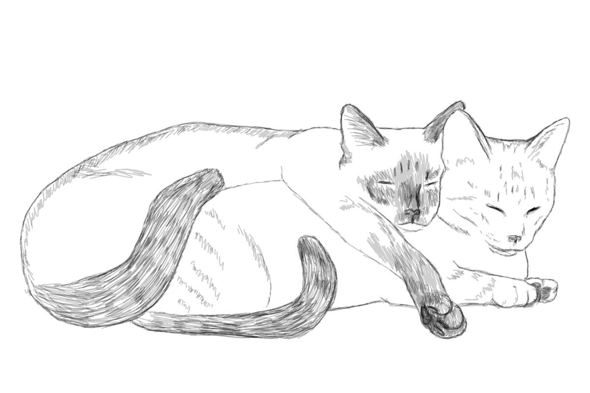 Милиных кошек я помню смутно, последний раз видела их лет двадцать назад. Были они полукровками тайского кота и кошки неизвестного происхождения, отдаленно-похожей-на-сиамскую. Красивые. Нежная светлая девочка табби и ярки колоритный парень с шоколадными отметинами.