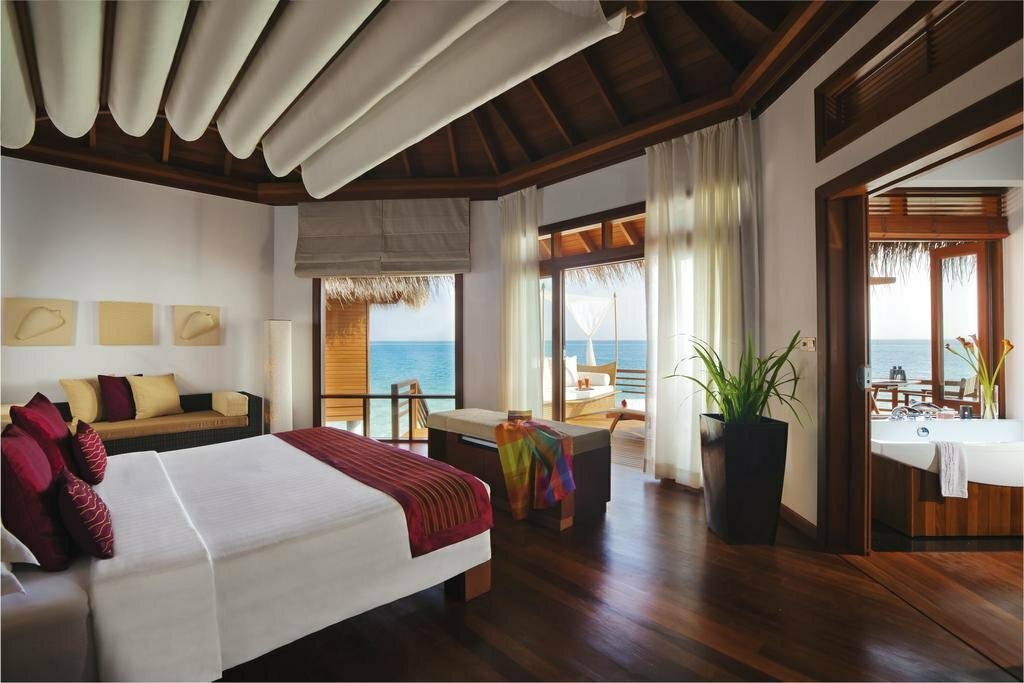 Фото из открытого источника