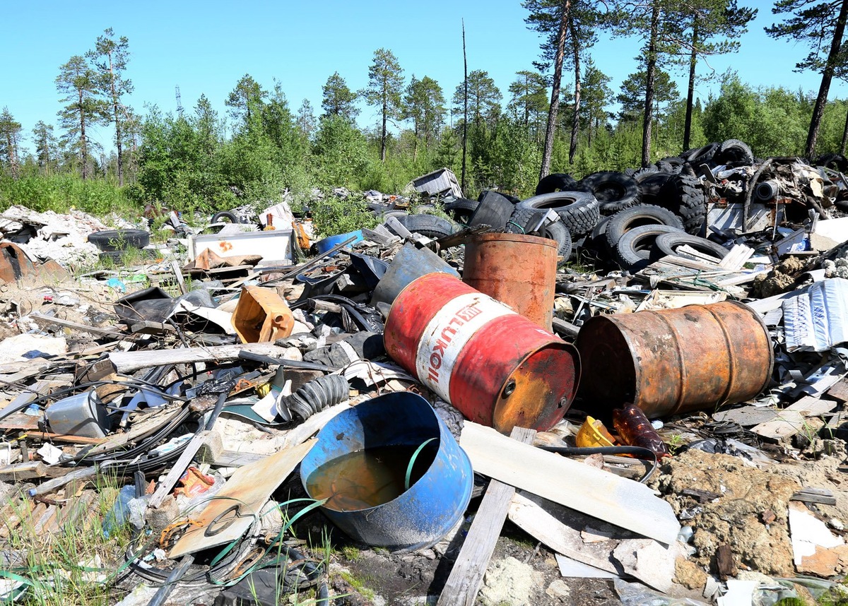 Мусорная свалка опасных отходов в лесу
