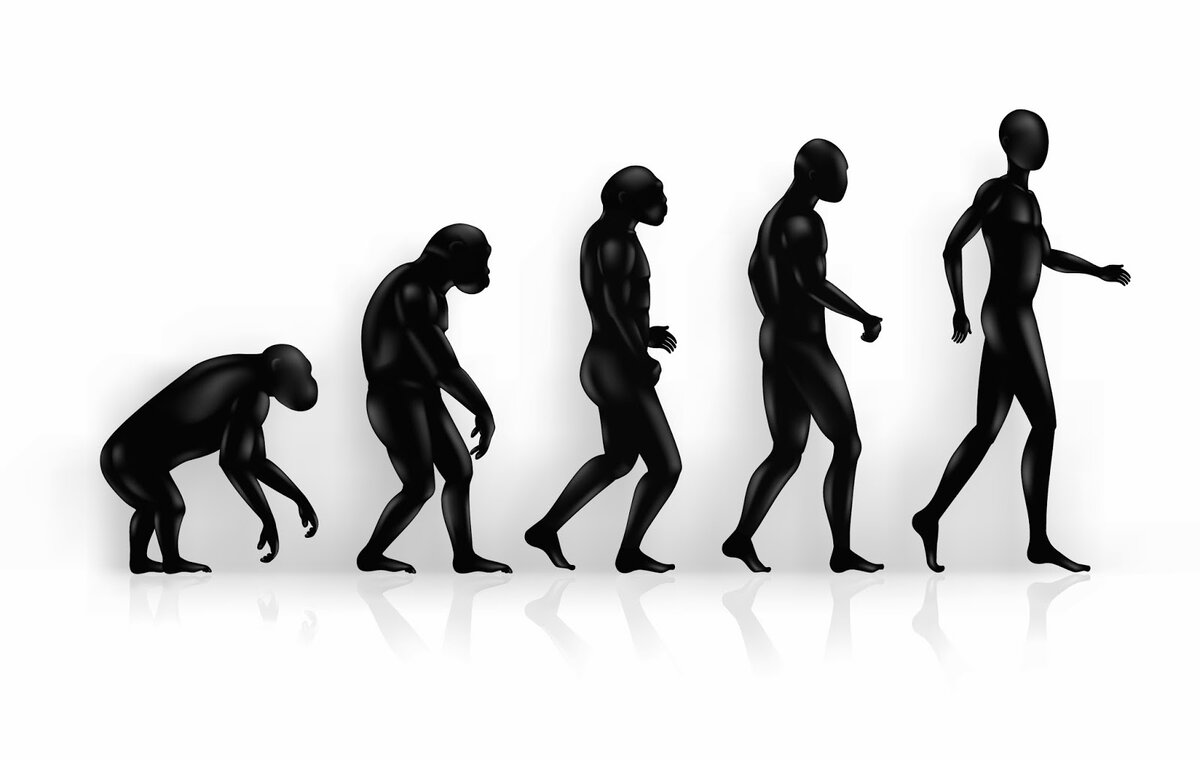 Эволюция человека