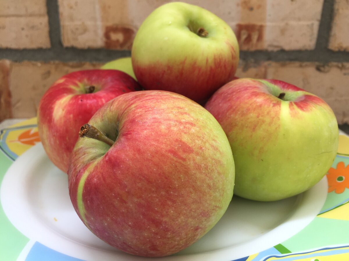 яблоки на траве. по 1 яблоку каждый. две половинки яблока. что будет если каждый день есть яблоки. чем полезны яблоки.