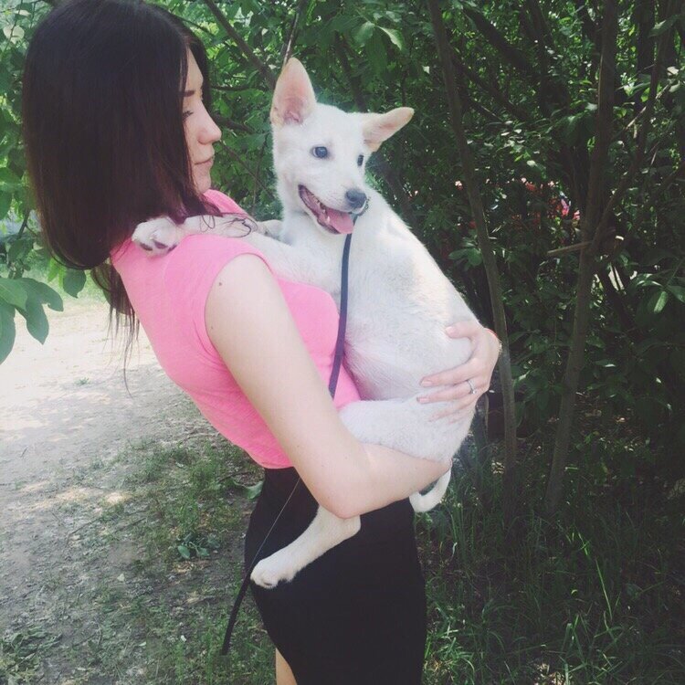 Виола с щенком