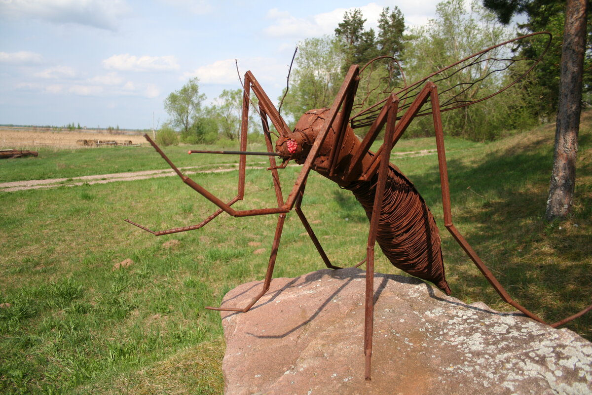 Памятник комару в Латгалии (Латвия)