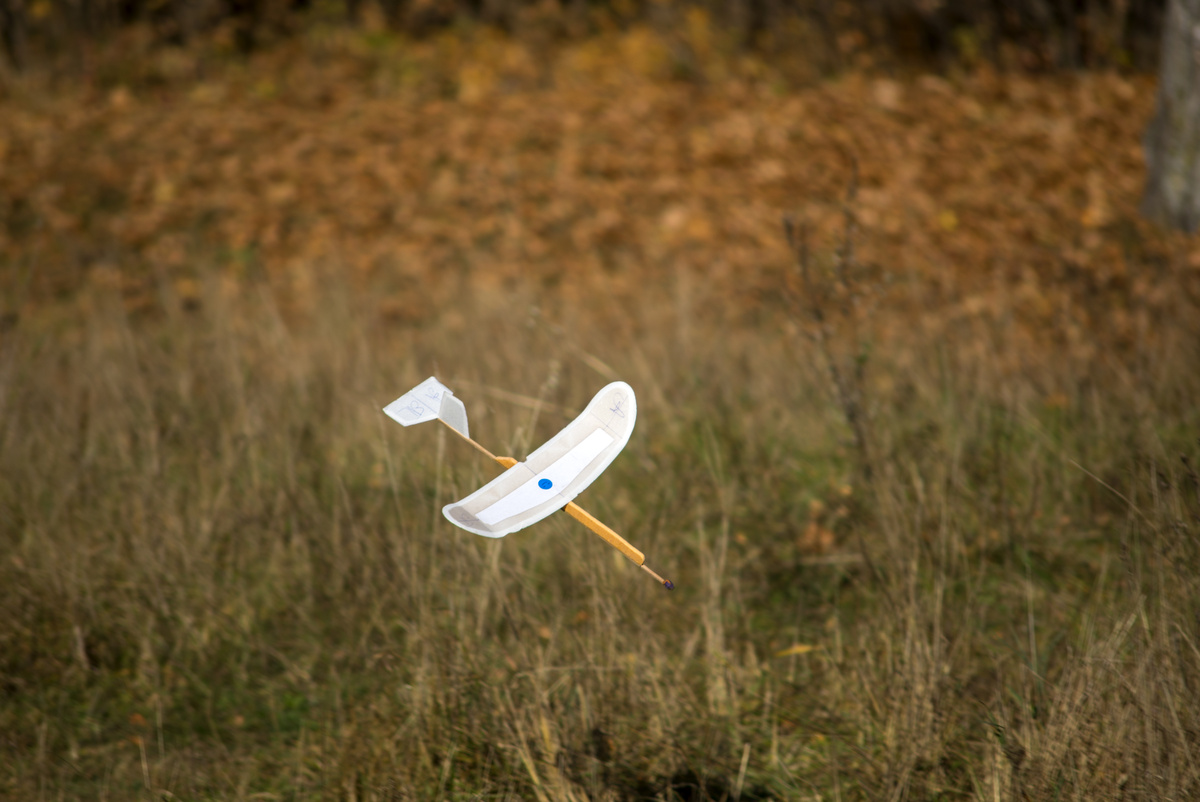 Автор строк и фото: КоМариша