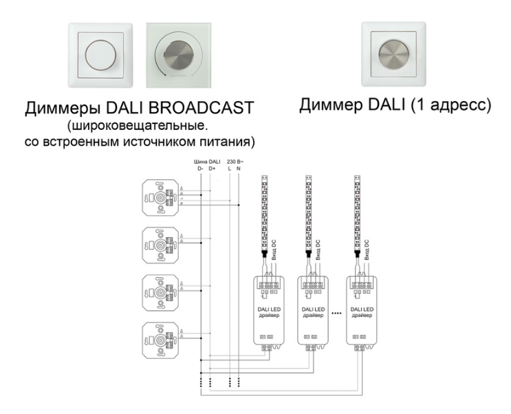 Освещение дали. Управление светом Dali схема. Схема управления освещением Dali. Управление освещением Dali схема подключения. Управление светом по протоколу Dali.