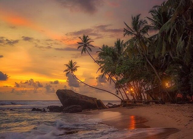   Шри-Ланка – это бескрайний океан, это песок пляжей и шелест пальм, это заросли джунглей и «цейлонские» чайные плантации, руины древних городов и просторы национальных парков.