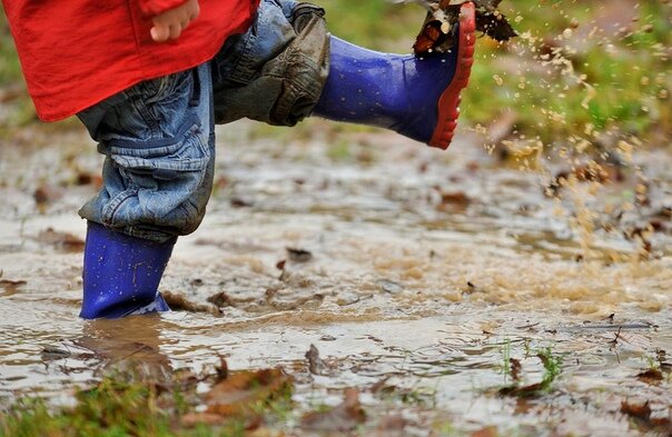 Фото https://sun9-21.userapi.com/