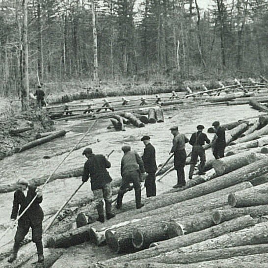 Сплав бревен по реке