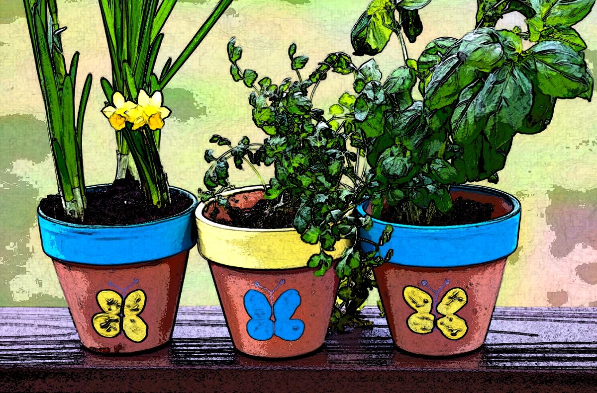 При выведении бородавки ни один цветок не пострадал :)