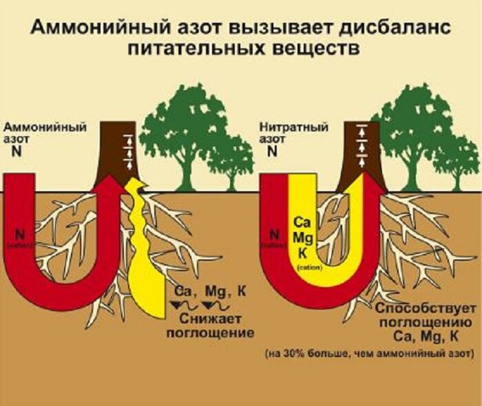 https://fermerx.ru/wp-content/uploads/2019/11/3-scheme-2.jpg