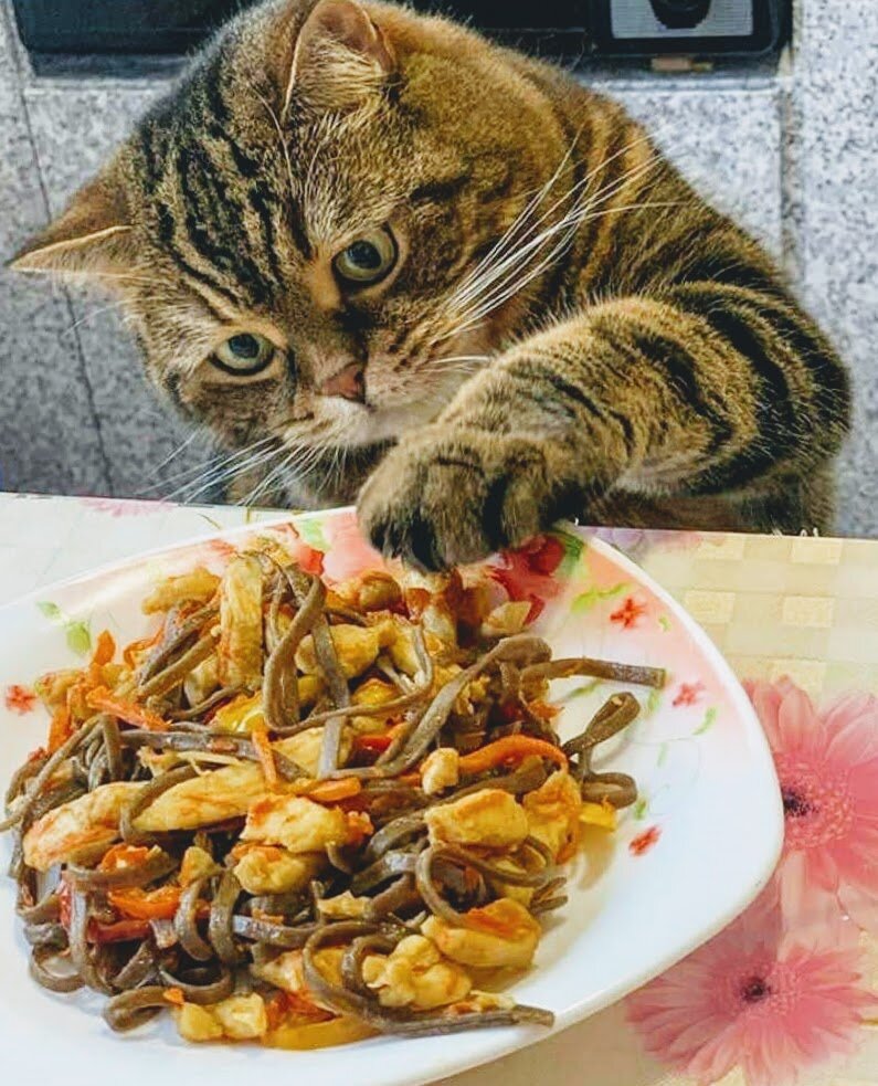 Фото взято из открытого источника Инстаграм. https://photos.google.com/photo/AF1QipN45YXTgvp6bSsFuzy2Atx76VUHUJklCYj5W8l6