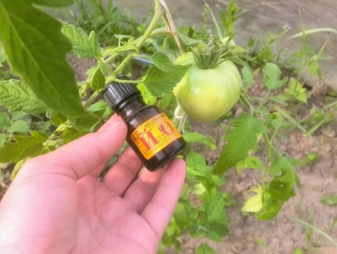 Источник фото: муп-апу.рф