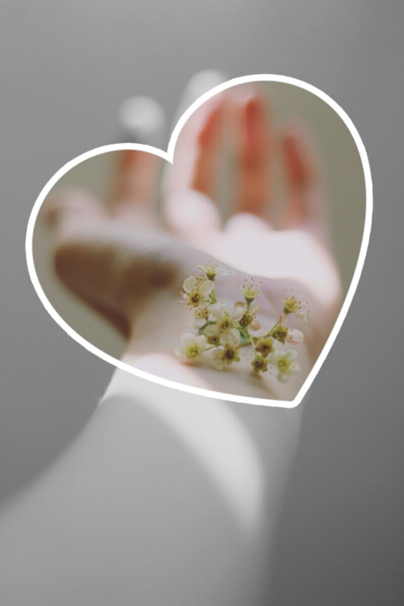 Free photo from unsplash.com