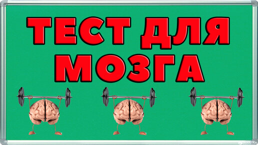 Тесты на эрудицию с ответами без регистрации. Тесты на эрудицию. Тесты на эрудицию с ответами бесплатные. Тесты на эрудицию с ответами. Тест на эрудицию с ответами сразу.