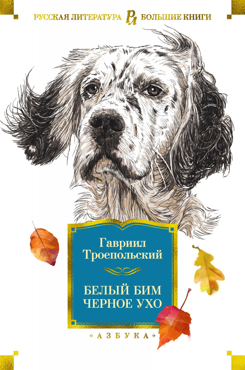 Обложка книги "Белый Бим Черное ухо" (фото из интернета)