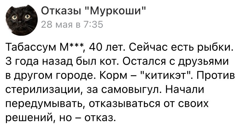 Кастрация кошек: зачем нужна и когда ее проводить