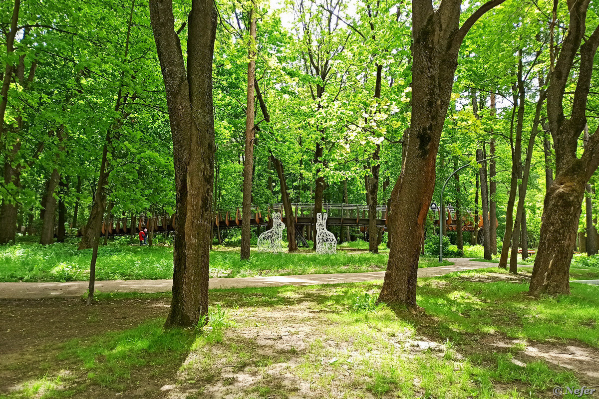 Шереметьевский парк. Останкинская Дубрава. Шереметьевская Дубрава. Павильон охрана природы.