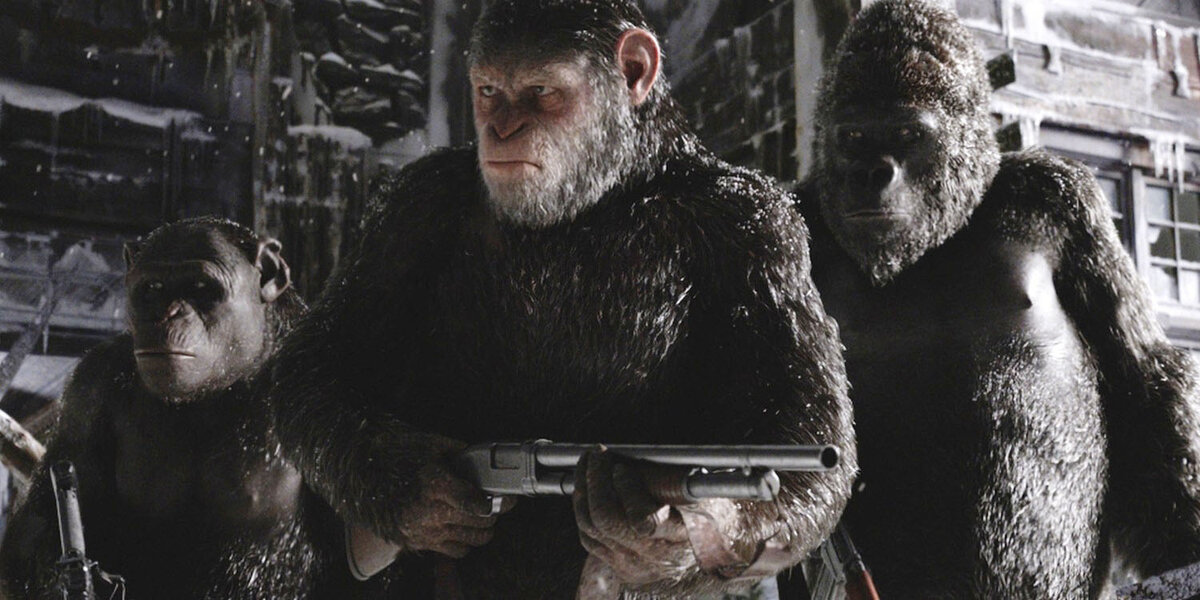 Шимпанзе и гориллы вместе сражаются за общее дело. Кадр из кинофраншизы «Планета обезьян». В реальности всё несколько иначе.