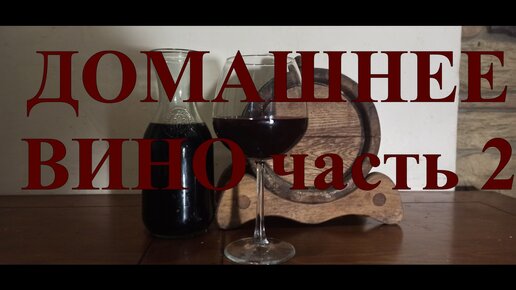 Домашнее вино: первые шаги в приготовлении вина дома