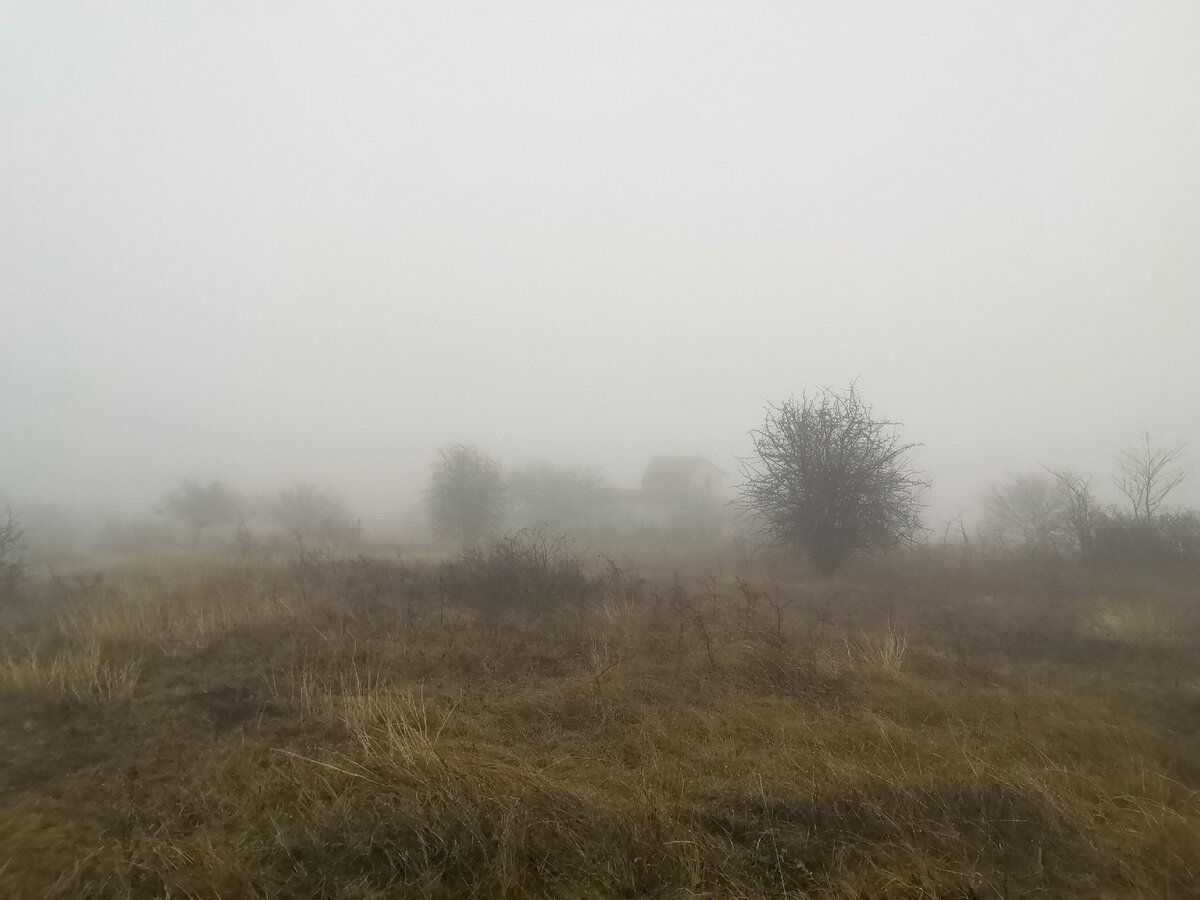 Туман. Мряка. 