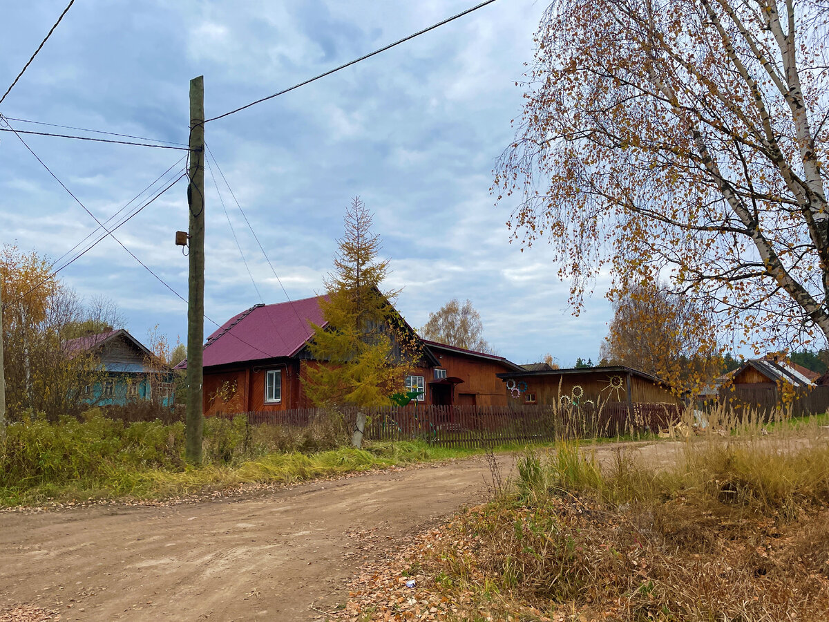 Нижегородский поселок Калиниха, впервые увидела именно здесь самые  оригинальные и необычные ворота у простого дома, показываю | Под зонтиком |  Дзен