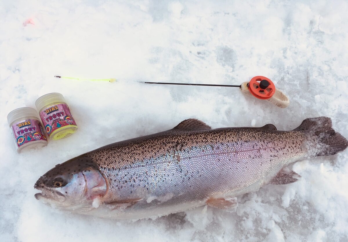 Форель со льда. Зимняя форелевая снасть. Монтаж поставушки на форель зимой. Зимний удильник на форель. Зимняя рыбалка на форель со льда.