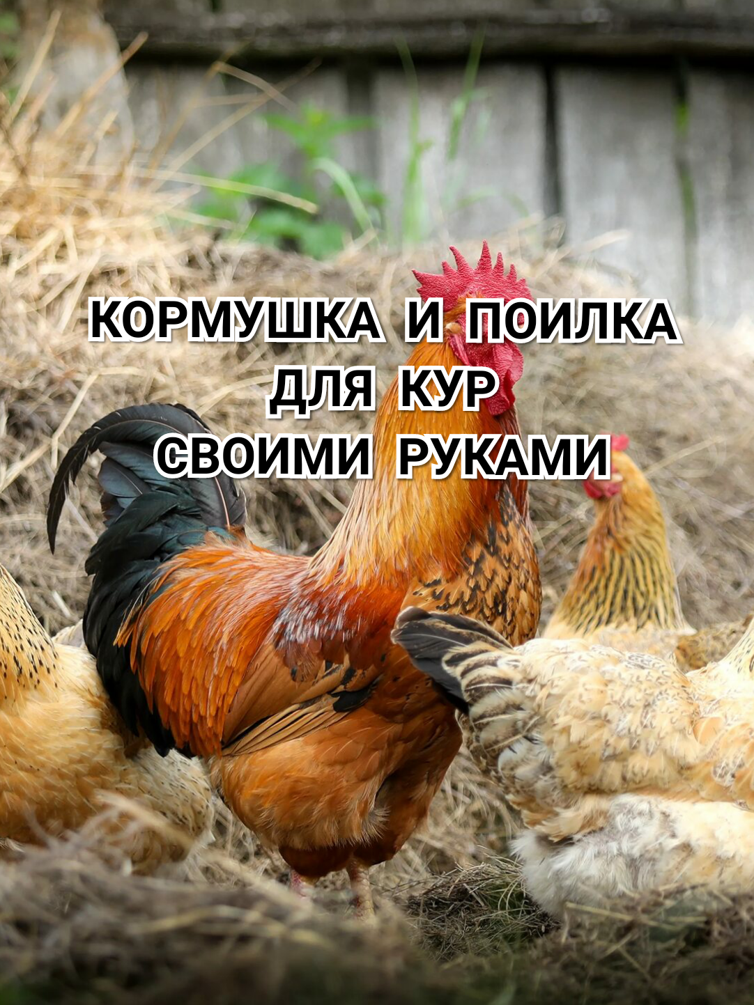 ЗИМНЯЯ, НЕ УБИВАЕМАЯ ПОИЛКА ДЛЯ КУР СВОИМИ РУКАМИ ЗА 5 МИНУТ.