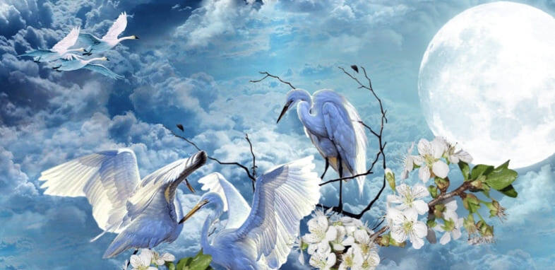 Фото из сети.