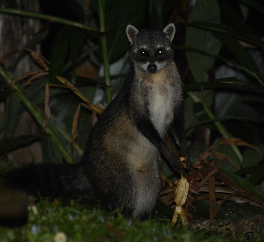 — А вы раков показываете? 
— Ты мне поесть дашь спокойно или нет?
— Обидное...