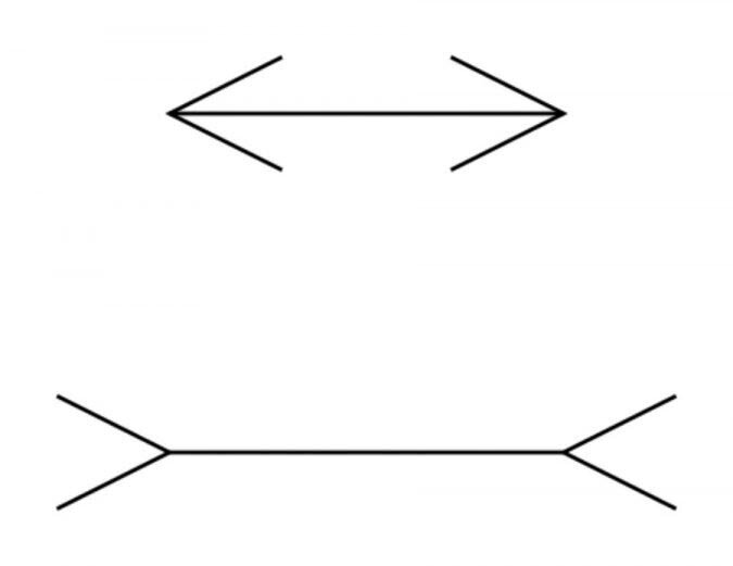  Самый простой пример когнитивного искажения — какая из этих линий длинней? Не смотрите на стрелочки, только на линии. Мозг изначально посчитает верхнею линию чуть короче нижней, хотя они полностью одинаковые. 
