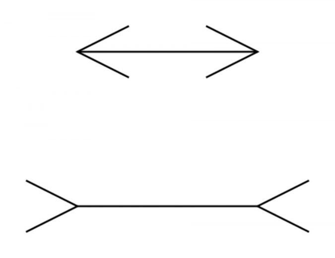  Самый простой пример когнитивного искажения — какая из этих линий длинней? Не смотрите на стрелочки, только на линии. Мозг изначально посчитает верхнею линию чуть короче нижней, хотя они полностью одинаковые. 
