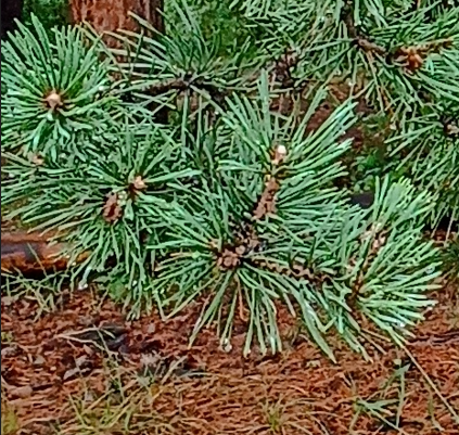 Вечный вопрос