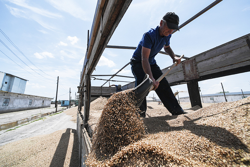    © Константин Михальчевский/РИА Новости