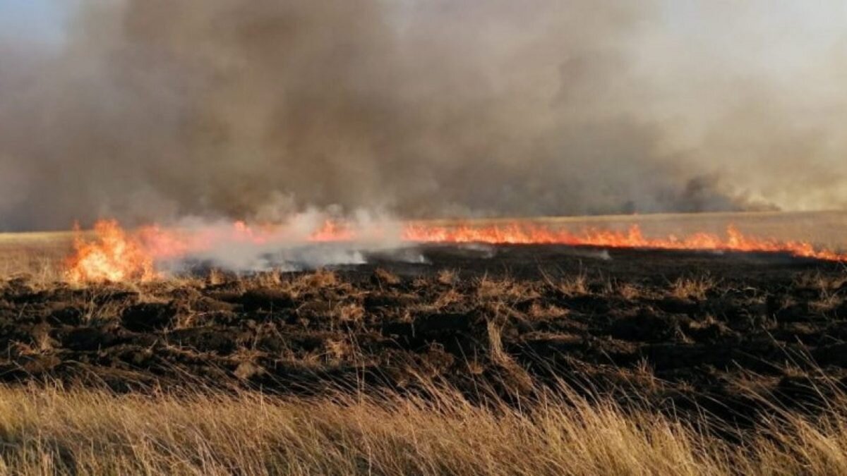    Фото: администрация Наурзумского заповедника Август Макаров