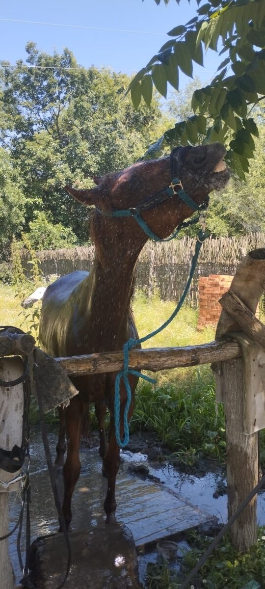 Харизма принимает ванны после работы😄