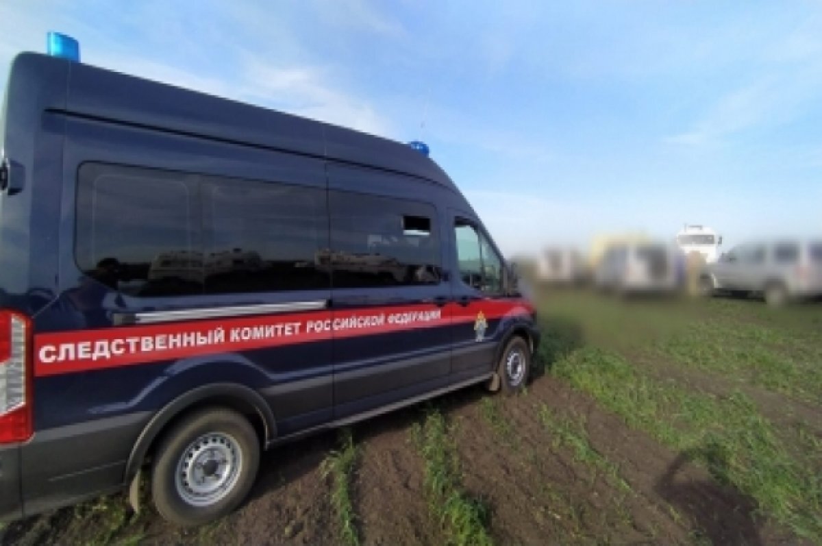    В Башмаковском районе подросток попал под суд за избиение