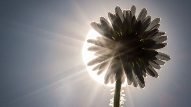 Любит - не любит? Может, надо поставить себе другой вопрос? 