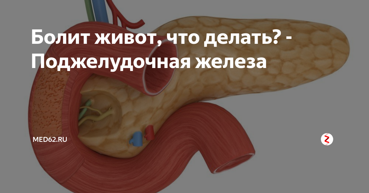 что делать если болит живот после голодания