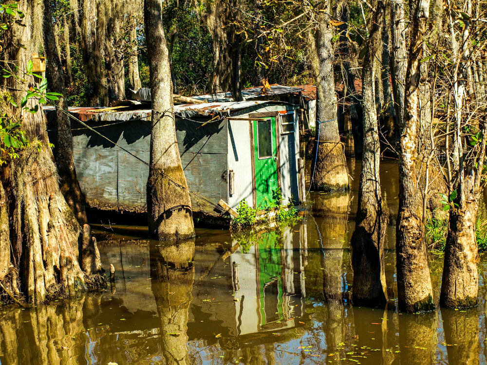 Люди живут на болотах. Болота Манчак в Луизиане. Болота Манчак болота призраков. Болотный культ Луизиана. Луизиана Хижина вуду.
