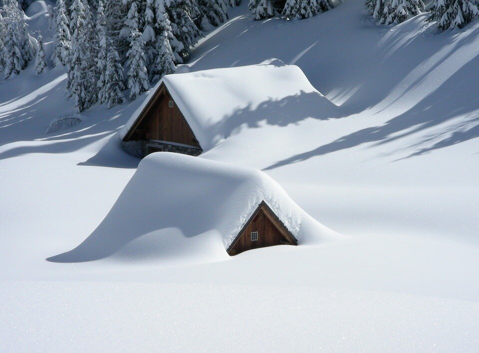  Фото: pixabay.com     