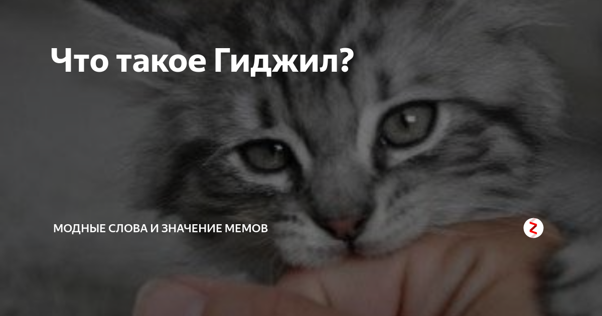 Почему хочется укусить любимого человека