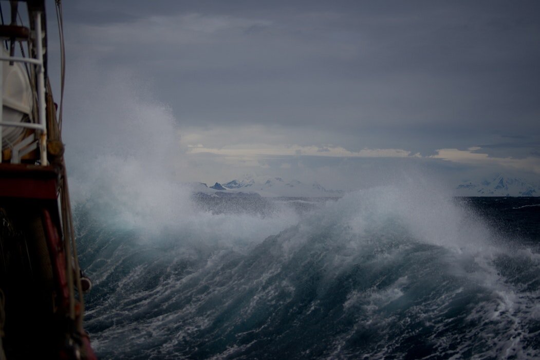 Photo by Torsten Dederichs on Unsplash