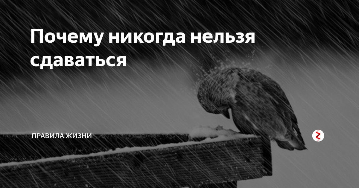 Экзегет ютуб. Никогда нельзя сдаваться. Когда обидел человека Библия. Библия и толкования - Экзегет.ру. Экзегет картинки.