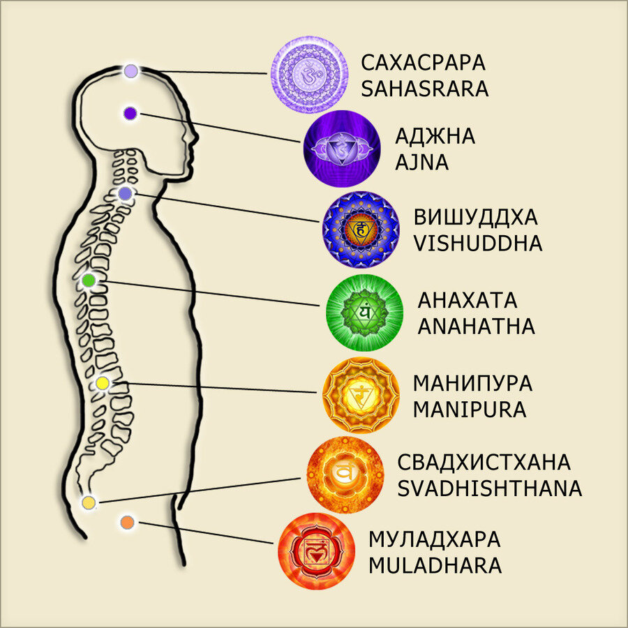 Муладхара чакра где находится фото