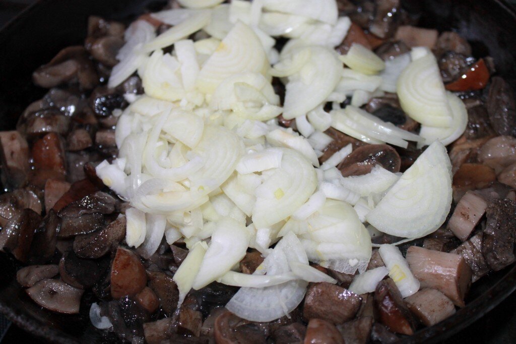 Жареные в сметане свежие лесные грибы – пошаговый рецепт приготовления с фото
