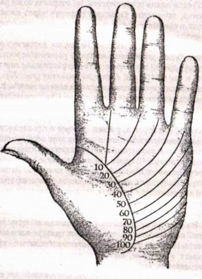 Линия жизни на руке: что означает и как правильно прочесть