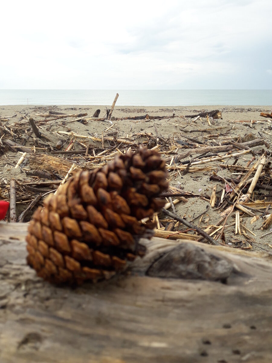 Обыкновенный пляж с платной парковкой недалеко от Пизы.